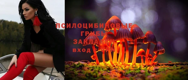 ALPHA PVP Алексин