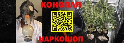 индика Гусиноозёрск