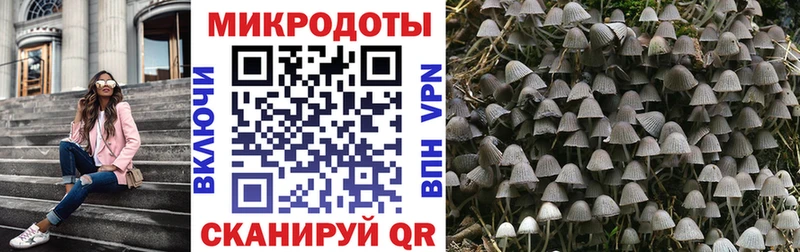 кракен зеркало  Лысьва  Псилоцибиновые грибы прущие грибы 